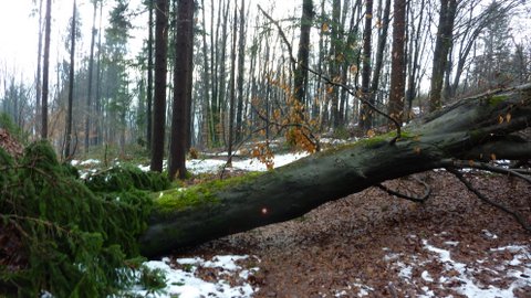 Grosupeljska planinska pot od Grosupljega do Magdalenske gore je prehodna