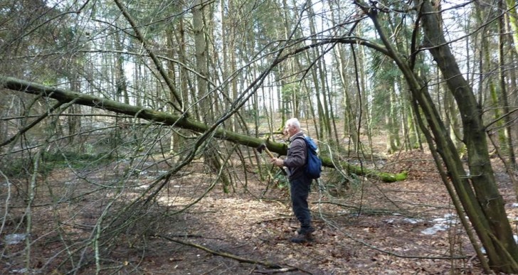 Urejanje Grosupeljske planinske poti