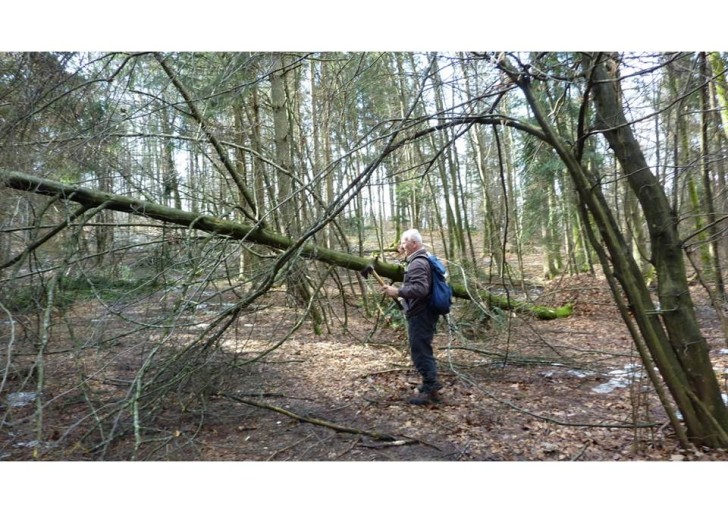 Urejanje Grosupeljske planinske poti