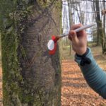 Delovna akcija na Grosupeljski poti