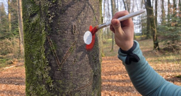 Delovna akcija na Grosupeljski poti